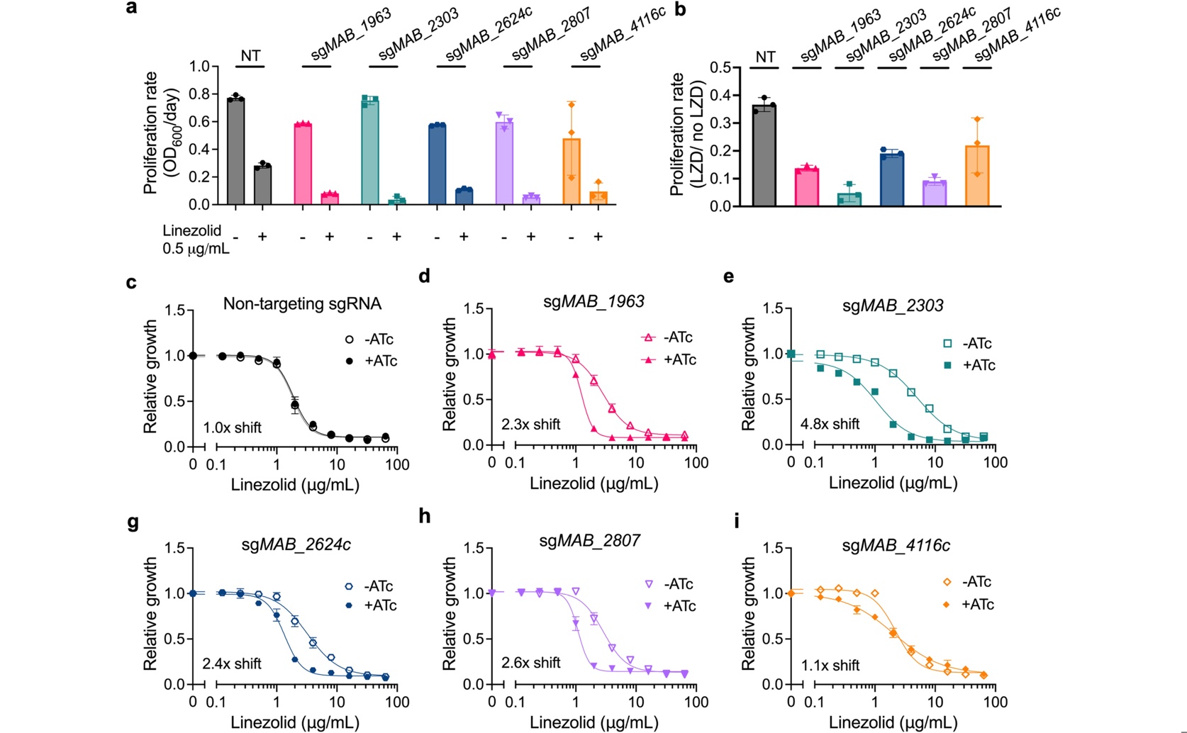 How Bacterial Pumps and Membranes Help Resist Antibiotics