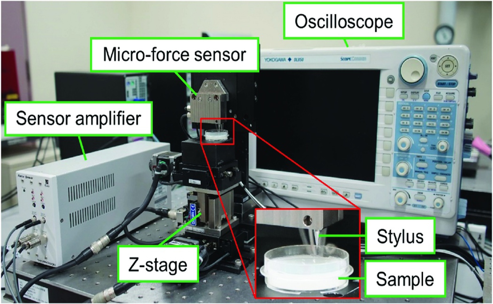Measuring Tissue Stiffness Using Sound: Research on Gel Models