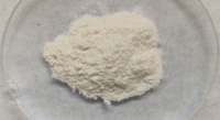 Chitosan and Mushroom Nanoparticles Improve Liver Health in Mice
