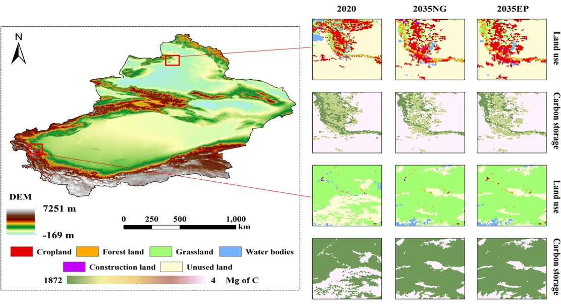 Predicting Land Use and Carbon Storage Patterns with a New Model