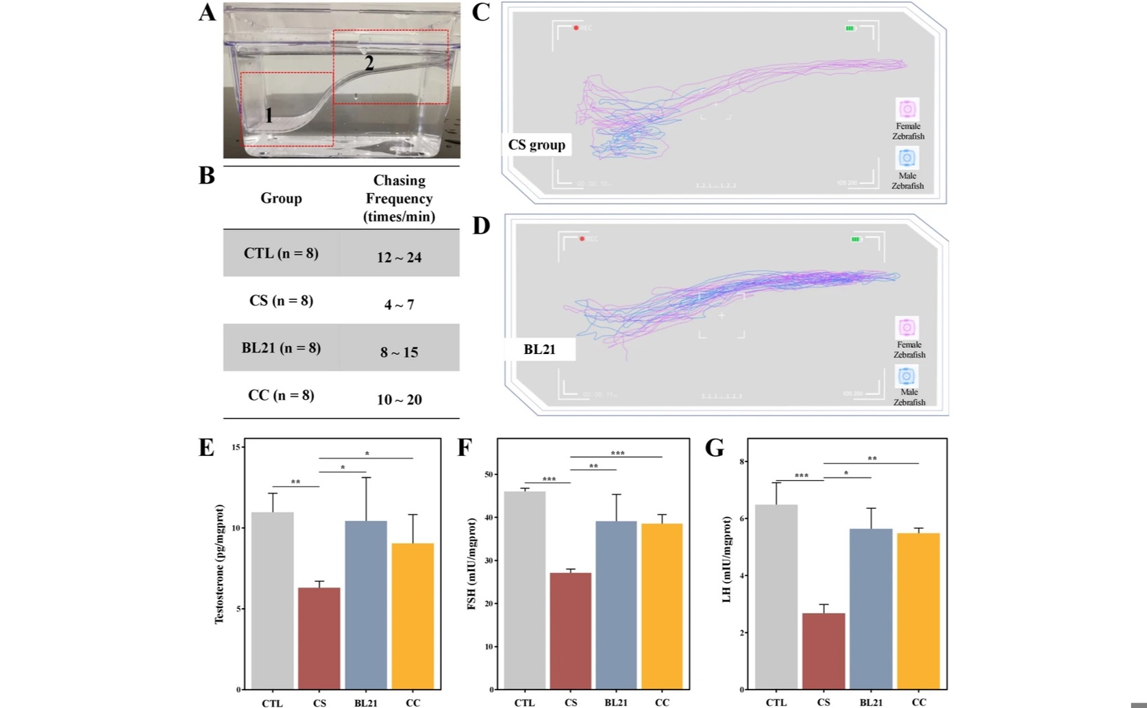 Good Gut Bacteria BL21 Protects Against Reproductive Issues from Chemotherapy
