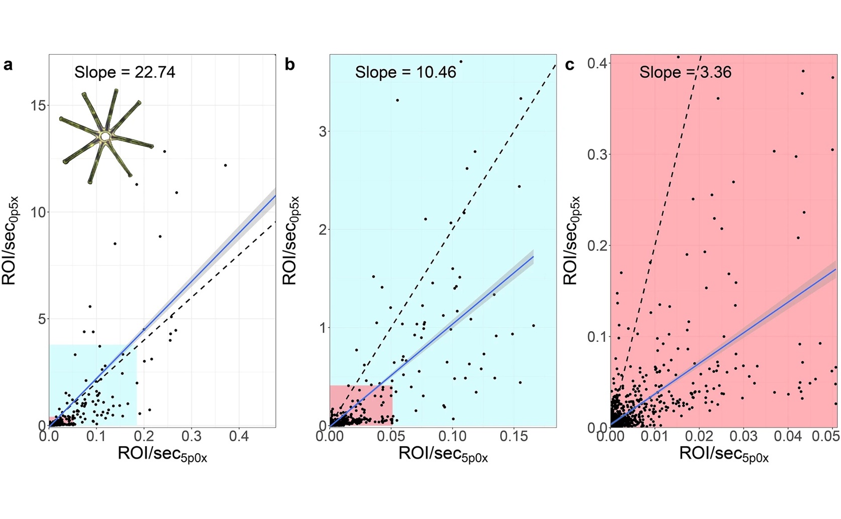 Five Years of High-Frequency Lake Data on Plant Life and Water Quality
