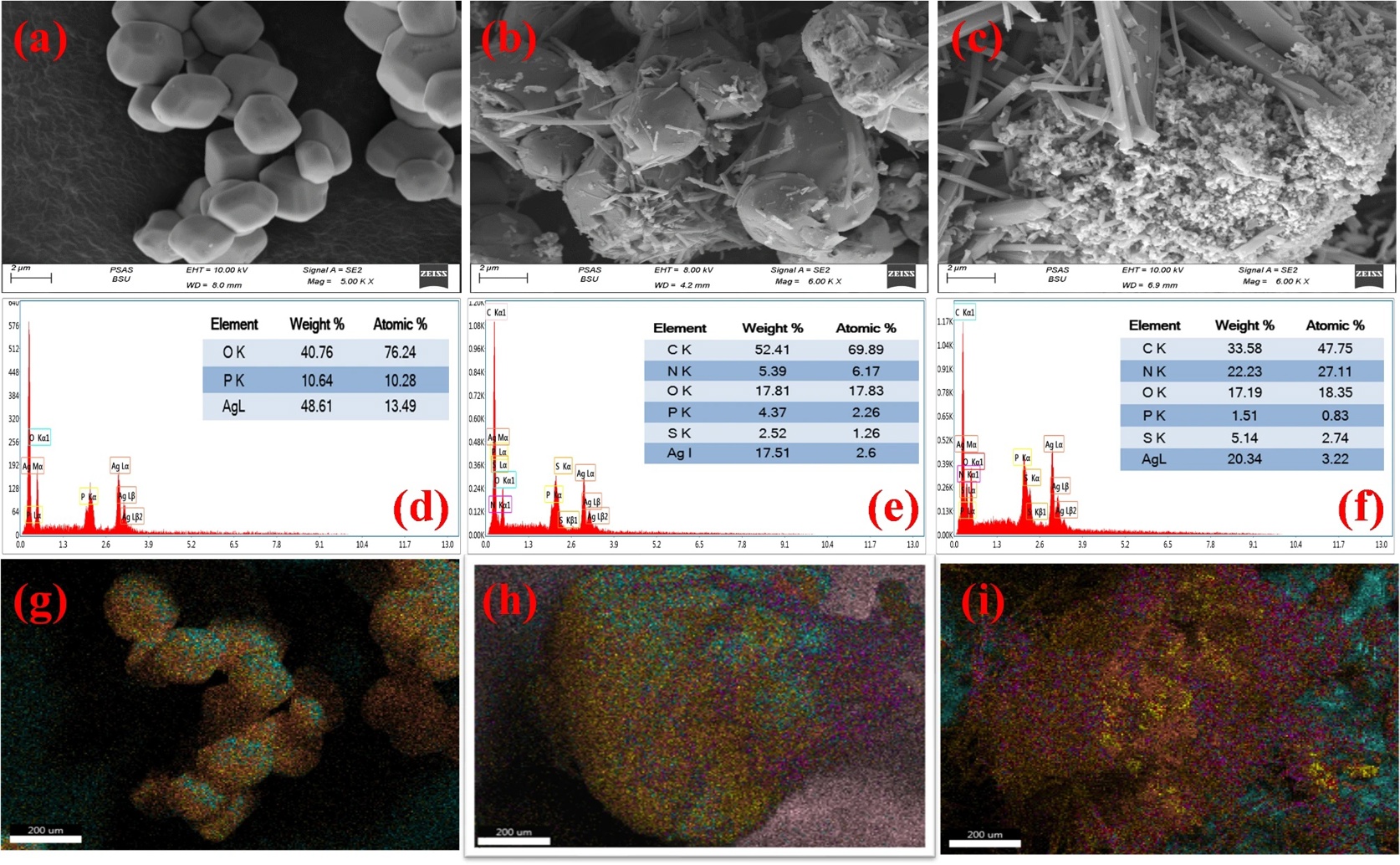 How to Remove Antibiotics from Water: Adsorption vs Light Breakdown