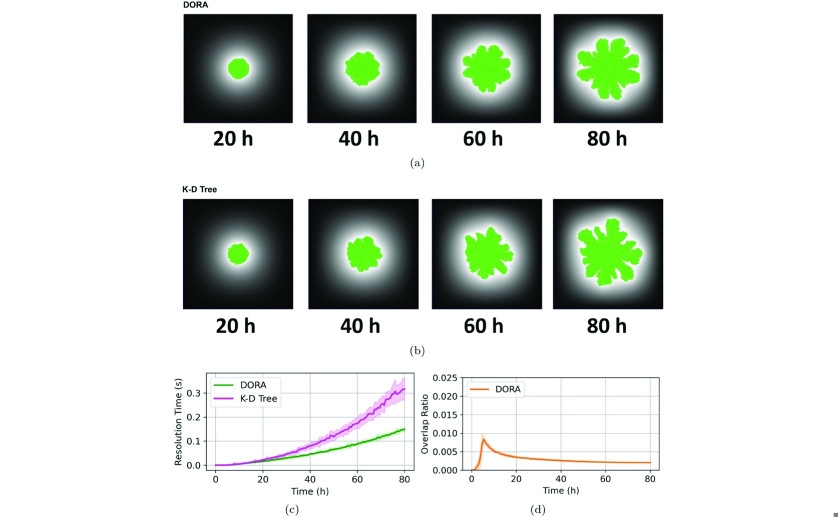 New Method to Prevent Overlaps in Tiny Organism Models