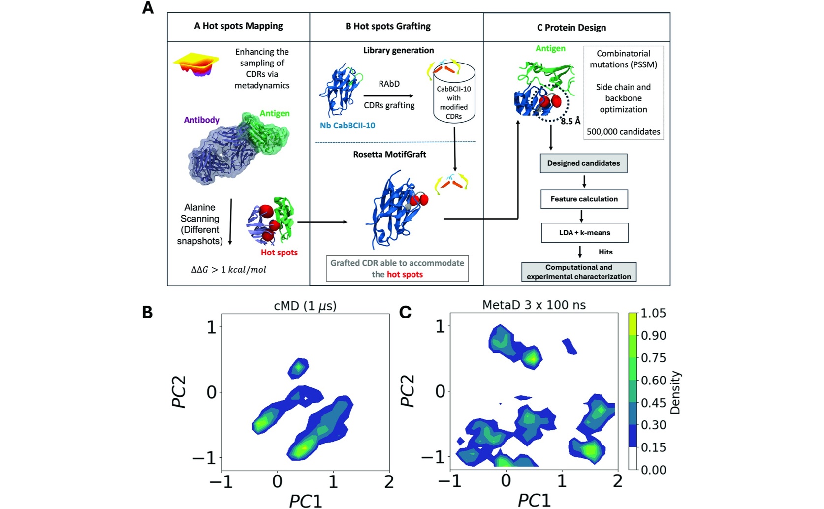 Creating Small Antibodies to Target COVID Spike Protein with AI and Modeling