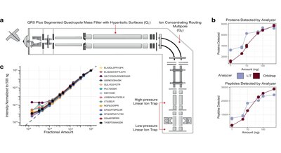 Fast Test Creation for Studying Proteins with a Flexible Device