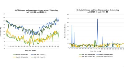 Study Identifies Key Genes Influencing Growth and Quality in Mustard