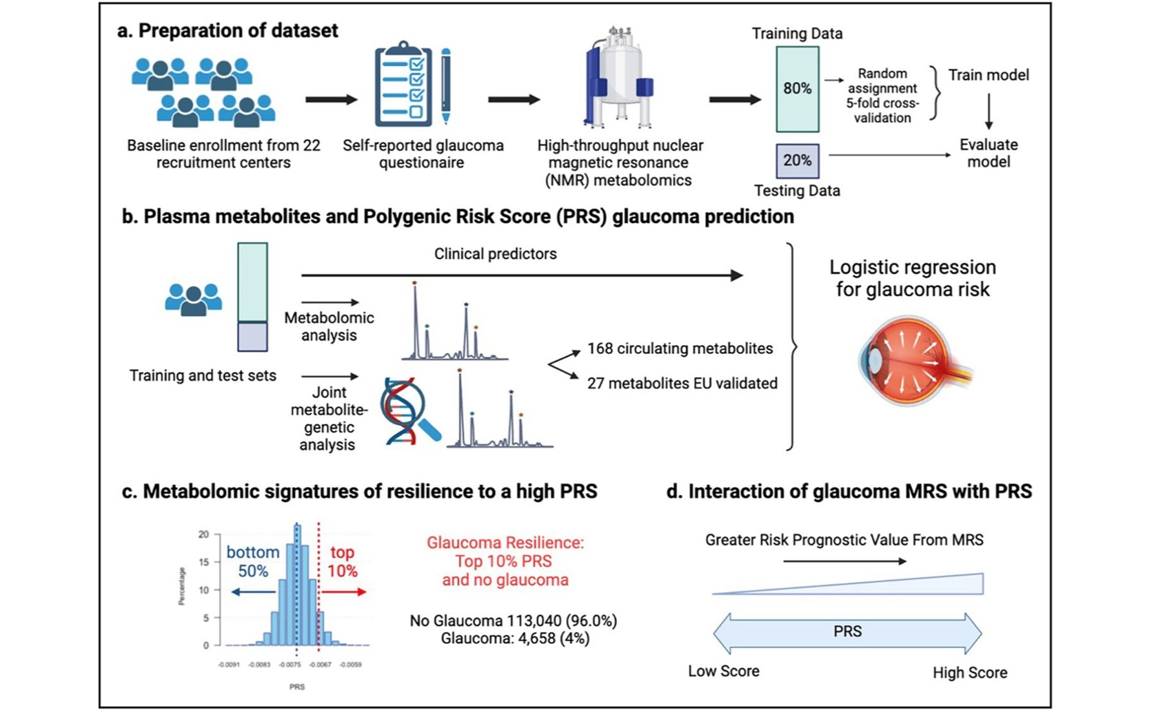 Energy Molecules Boost Resilience in High-Risk Glaucoma