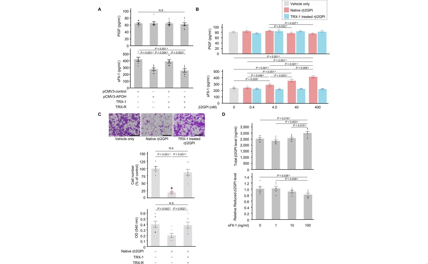 Beyond Antibodies: A Key Protein Protects Pregnancy