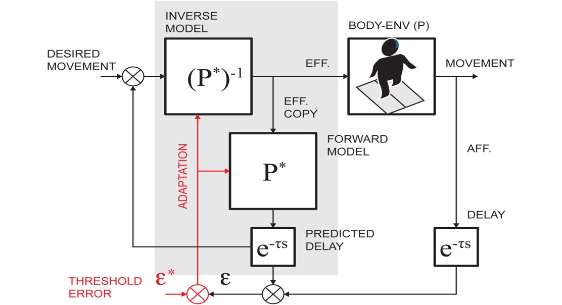 How Sensing Mistakes Trigger Movement Changes in People