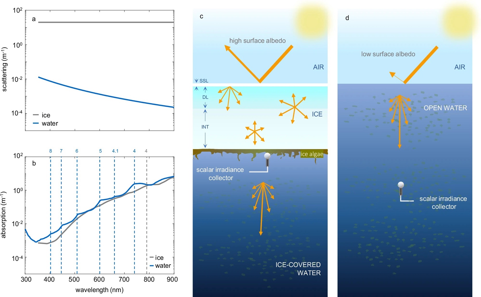 Melting Sea Ice Changes Light for Water Plants