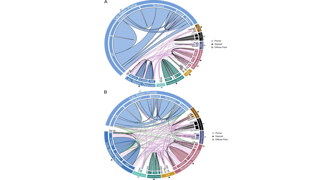 Unique Viruses Shape Their Spread and Evolution in Underwater Hot Springs