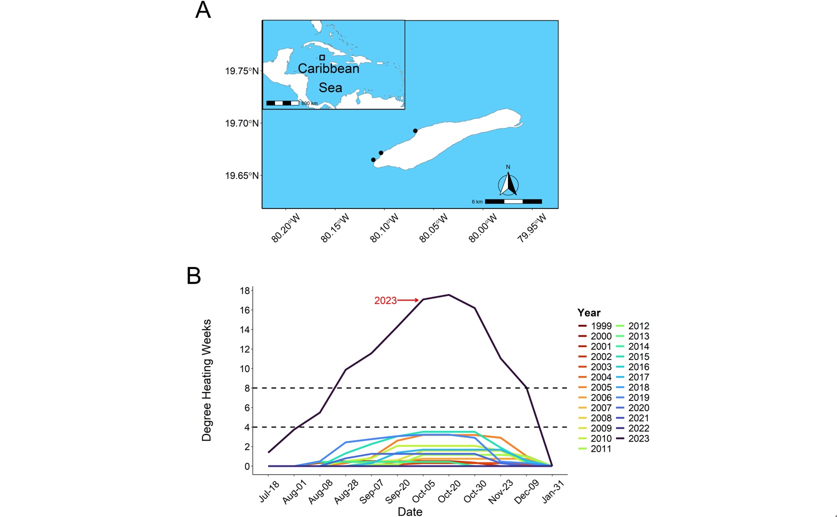 Severe Coral Damage and Death During 2023-2024 Ocean Heatwave