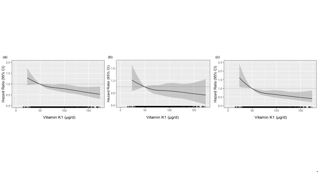 More Vitamin K Helps Protect Older Women from Artery Hardening and Heart Disease