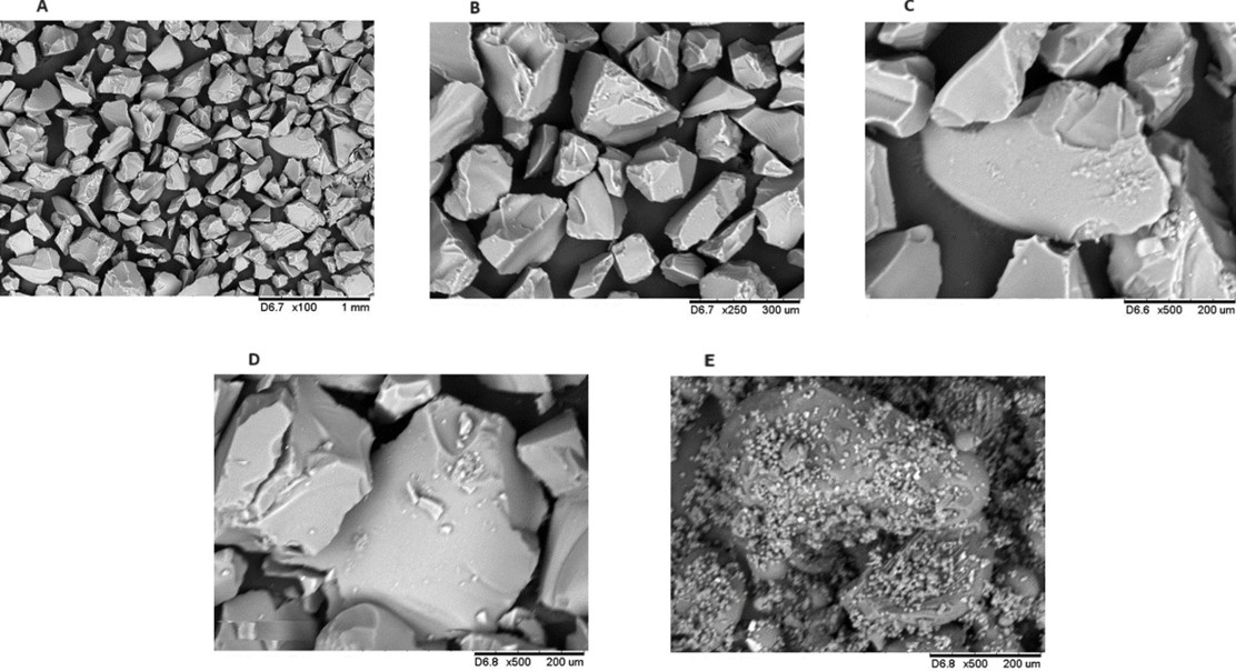 Creating a Beauty Product with a Fat-Breaking Enzyme from Mold