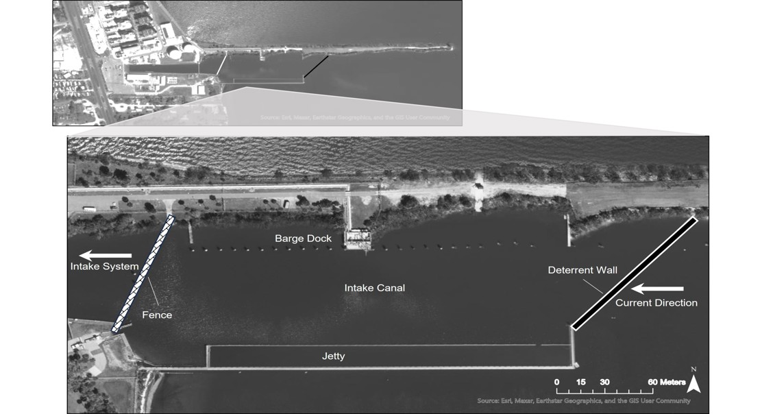 Using Biology and Engineering to Reduce Power Plant Impact