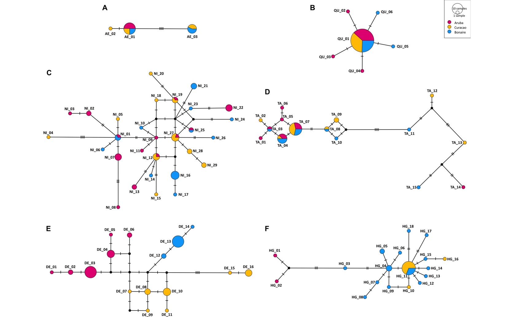 Environment and History Shape Local Genetics on Three Islands