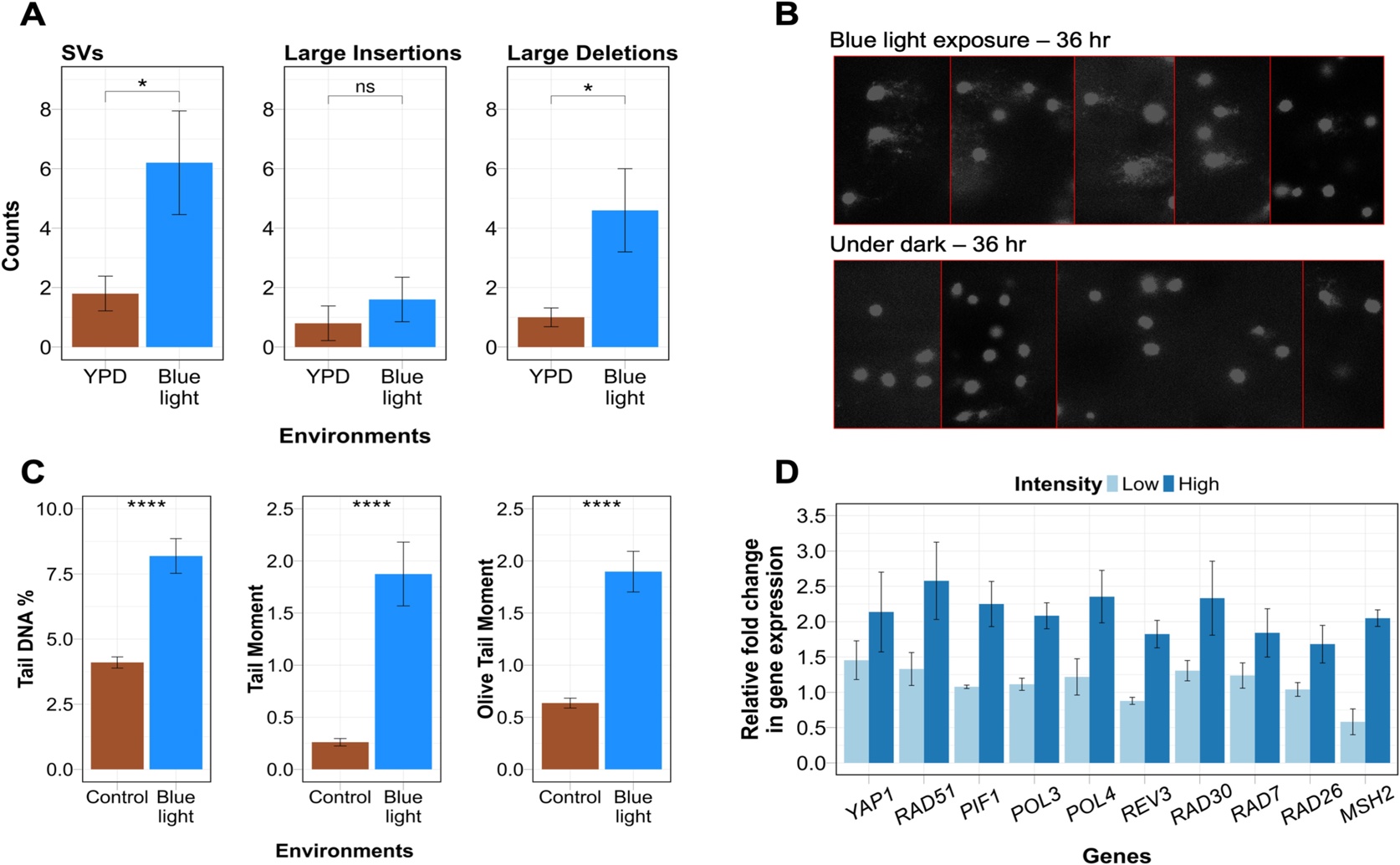 Genetic Changes Linked to Common Environments in Yeast