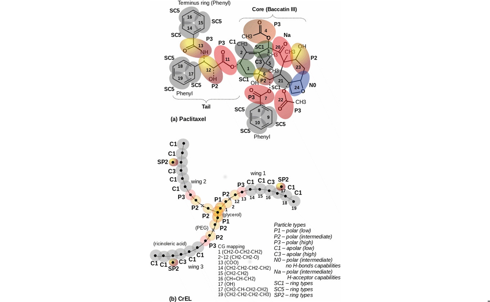 How a Cancer Drug and Its Carrier Change Shape for Delivery