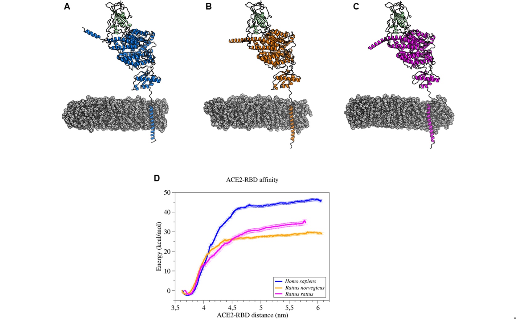 Potential Spread and Circulation of the Coronavirus in the Wild