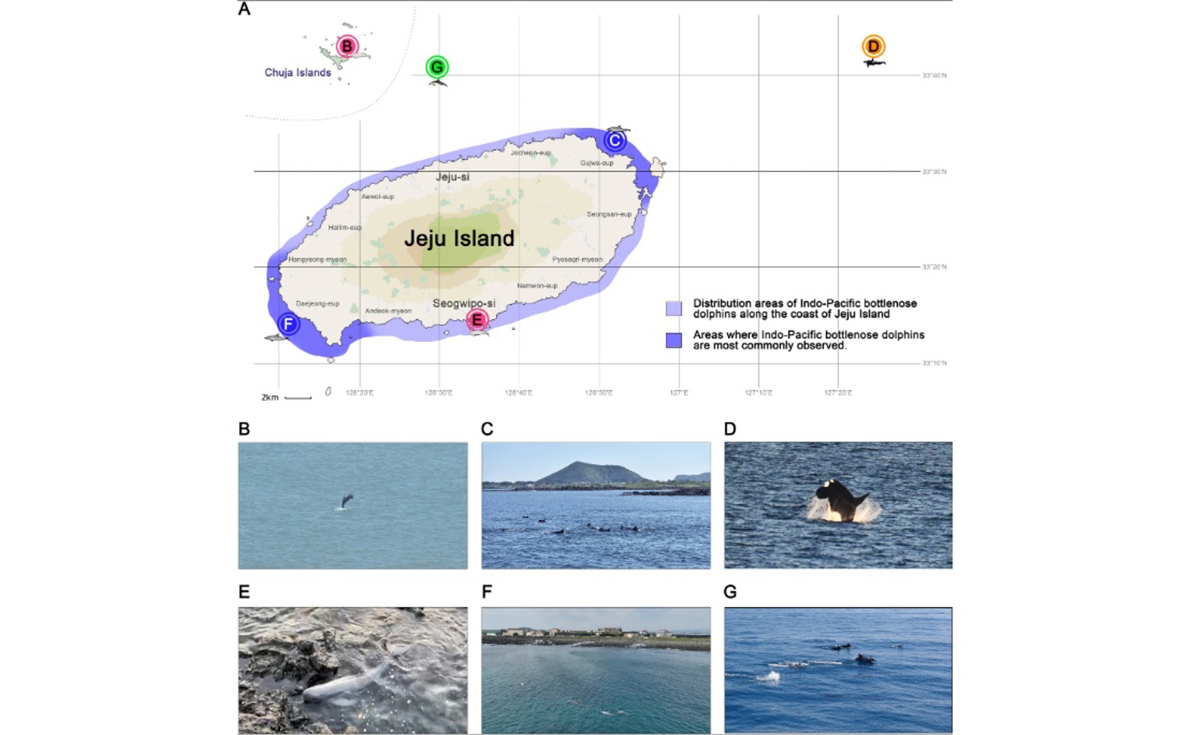 Using DNA to Track Finless Porpoises and Oceanic Dolphins in the Korean Sea