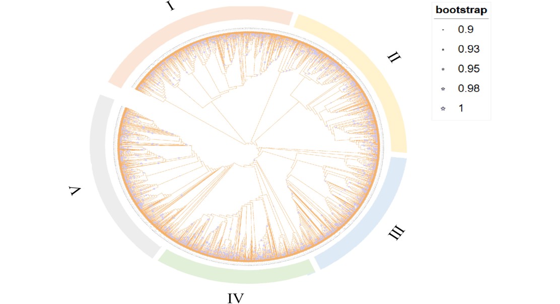 Evolution and Features of a Key Bacterial Enzyme Family