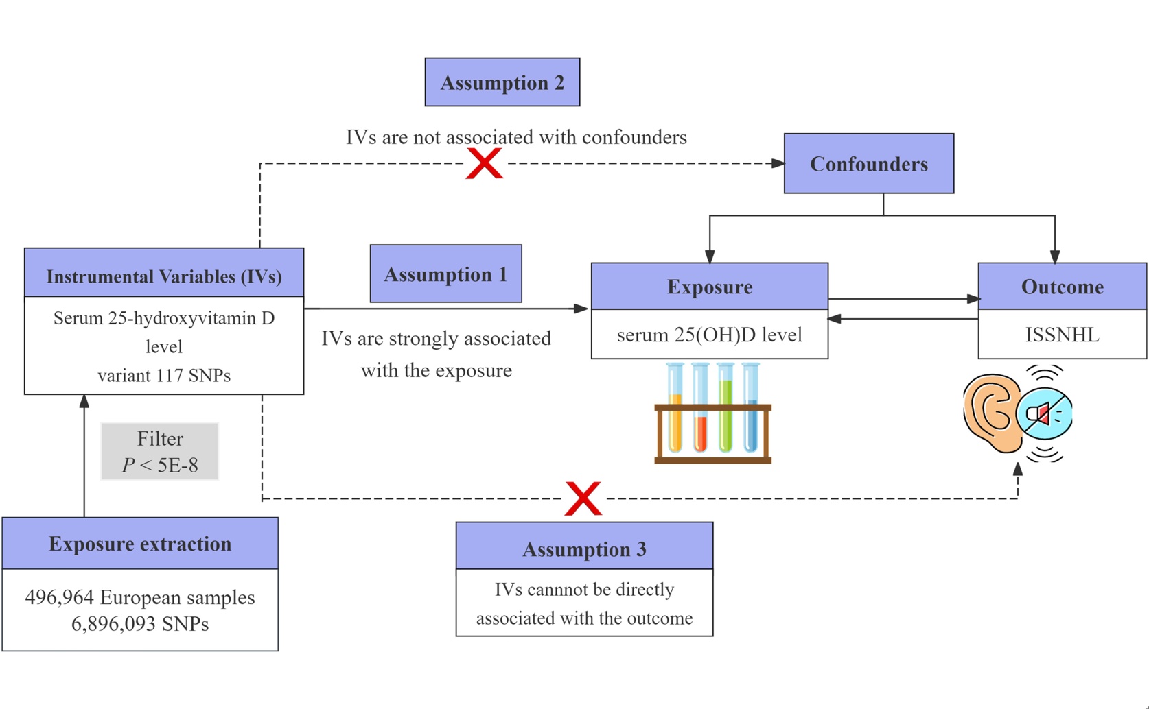 Does Vitamin D Affect Sudden Hearing Loss? Insights from a Genetic Study