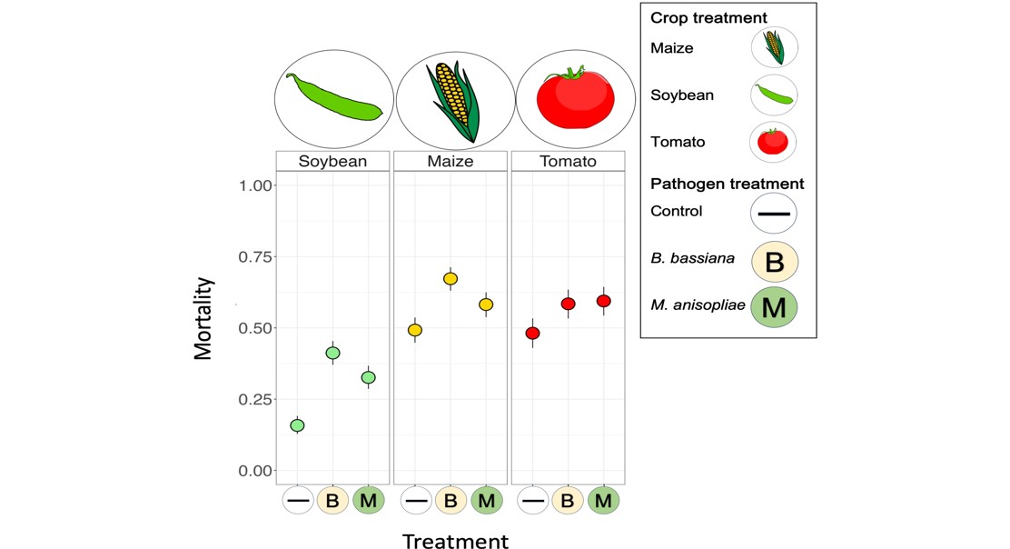 Diverse Crop Plantings Reduce Pesticide Resistance Growth in Pests