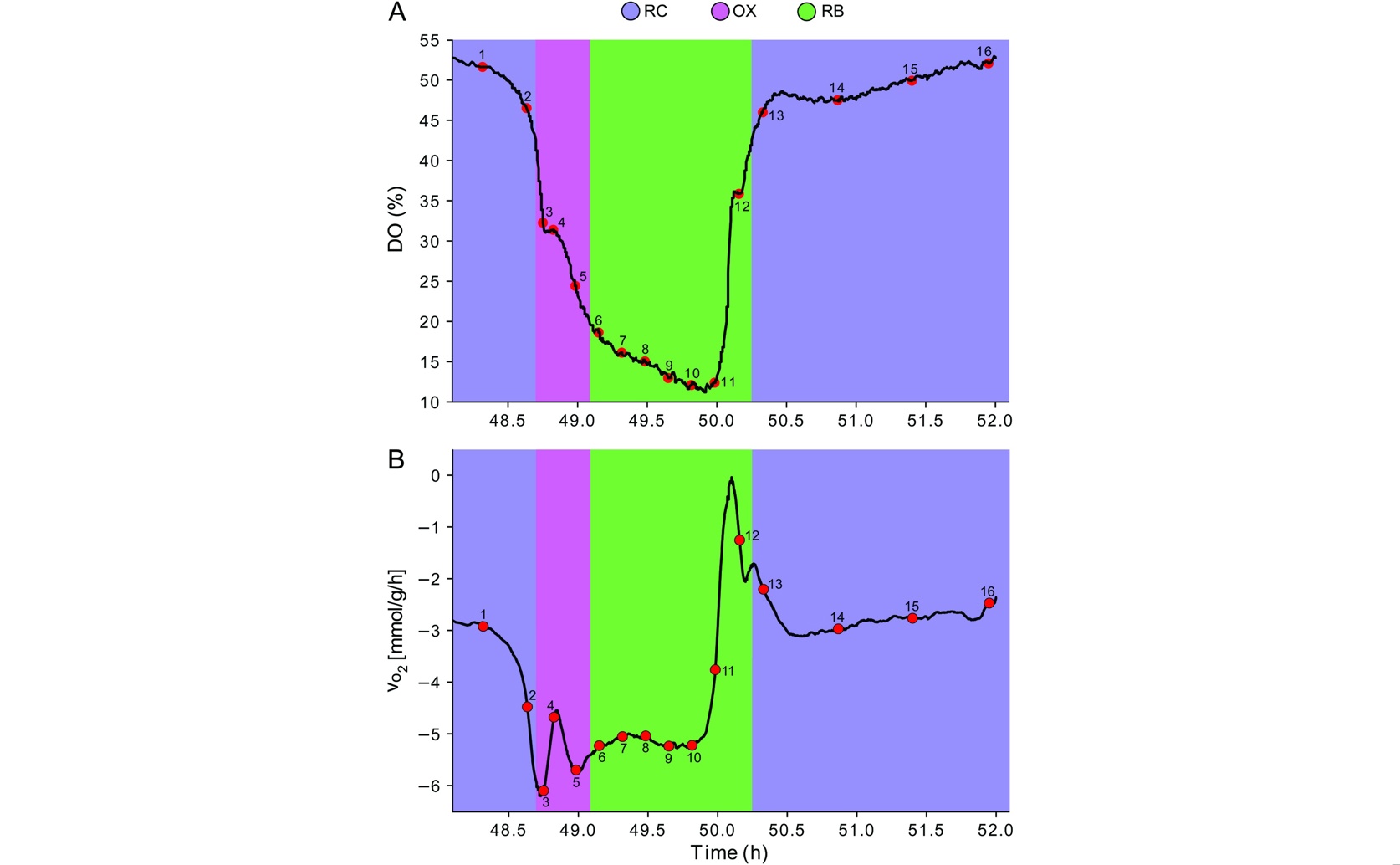 How Energy Controls DNA Packaging During Cell Cycles