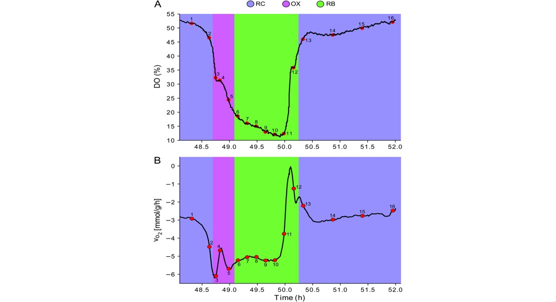 How Energy Controls DNA Packaging During Cell Cycles