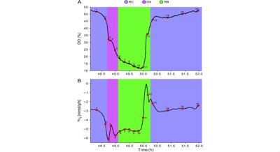 How Energy Controls DNA Packaging During Cell Cycles