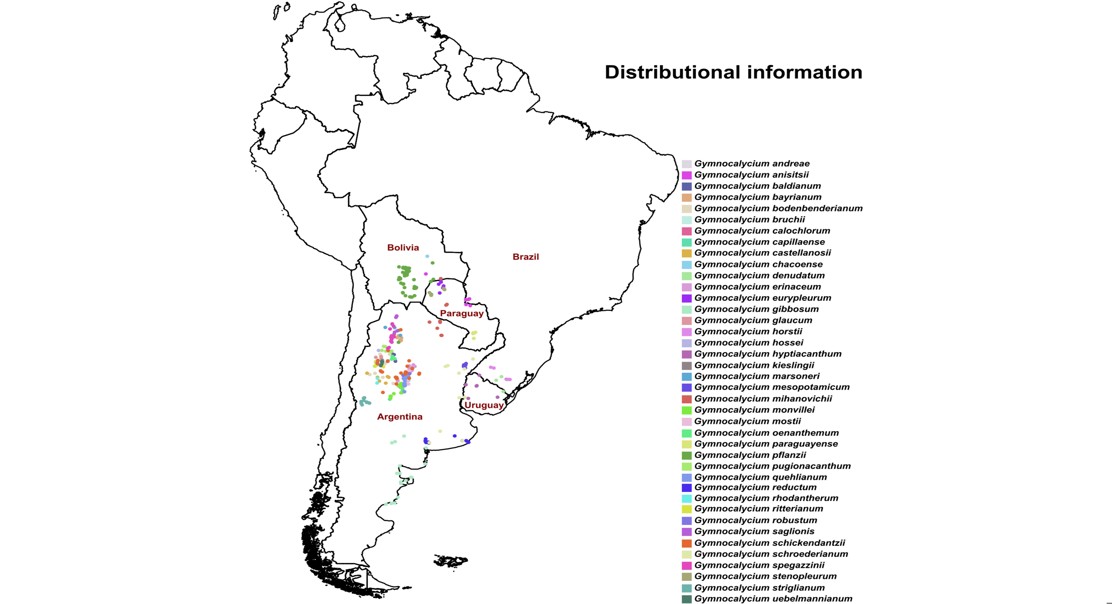Changing Climate Adaptations of Chin Cacti: Did Ice Ages Set the Stage
