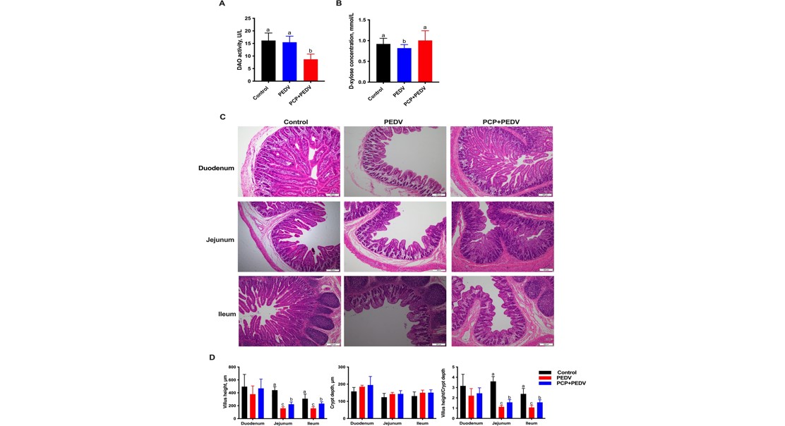 Medicinal Mushroom Helps Protect Gut from Virus Damage by Balancing Fats