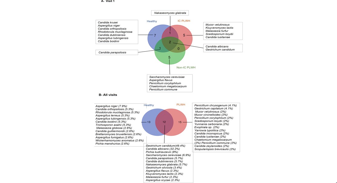 Do Yeasts Live in the Gut of People with HIV