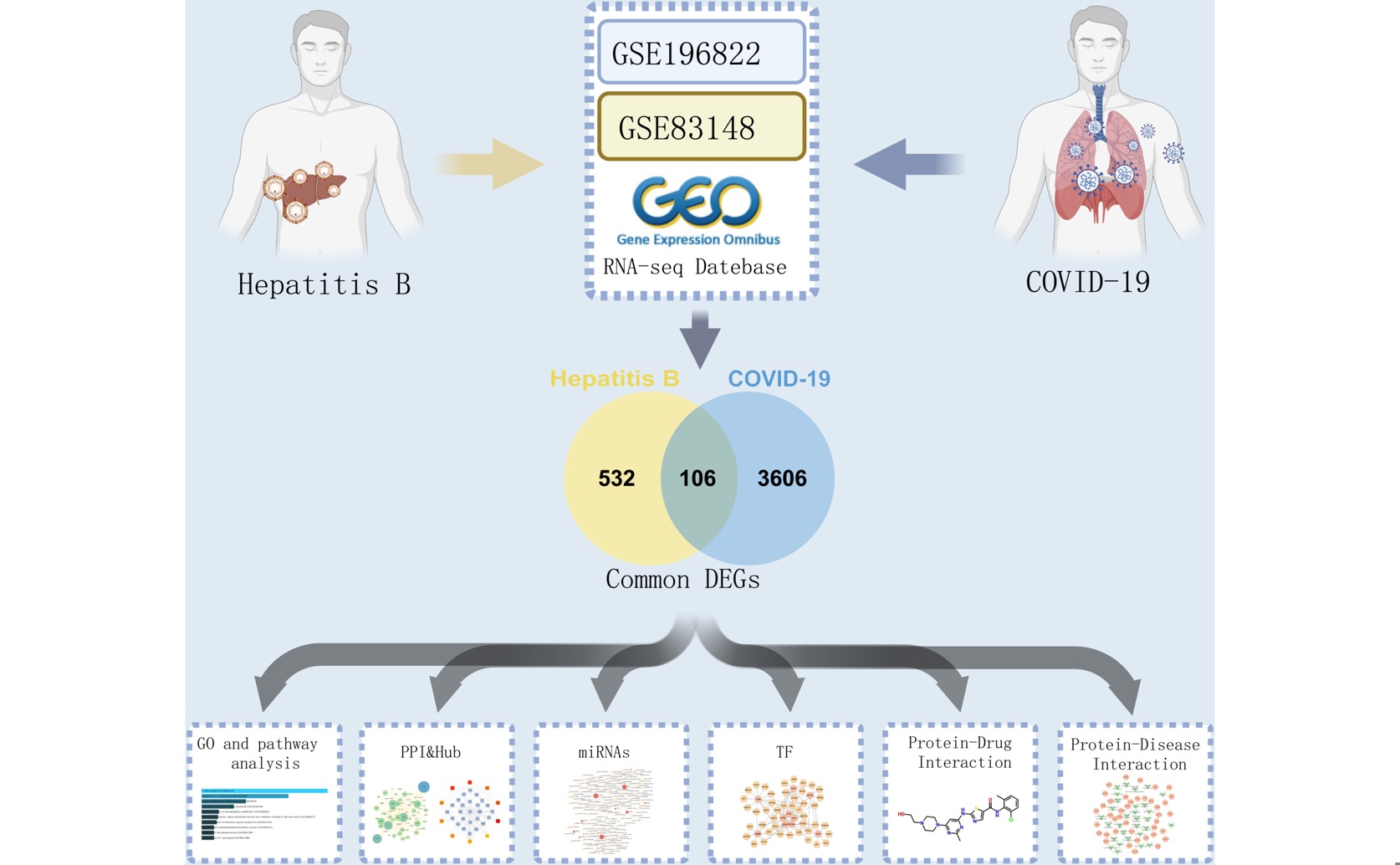 Data Science Reveals Common Ways COVID-19 and Chronic Hepatitis B Affect Health