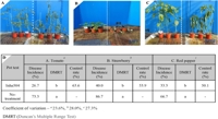 Discovering Soil Bacteria That Fight Plant Fungi