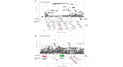 A Combined Approach to Pinpoint Key Genes Driving Complex Traits