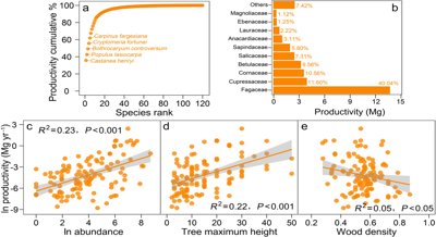 Functional Trait Identity Beats Tree Diversity and Structure in Forests