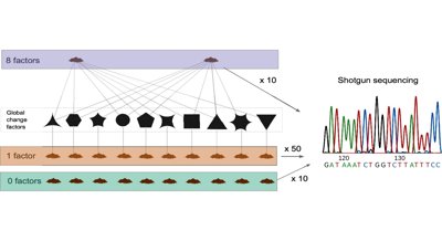 Soil Microbes Respond to Global Changes: DNA Insights