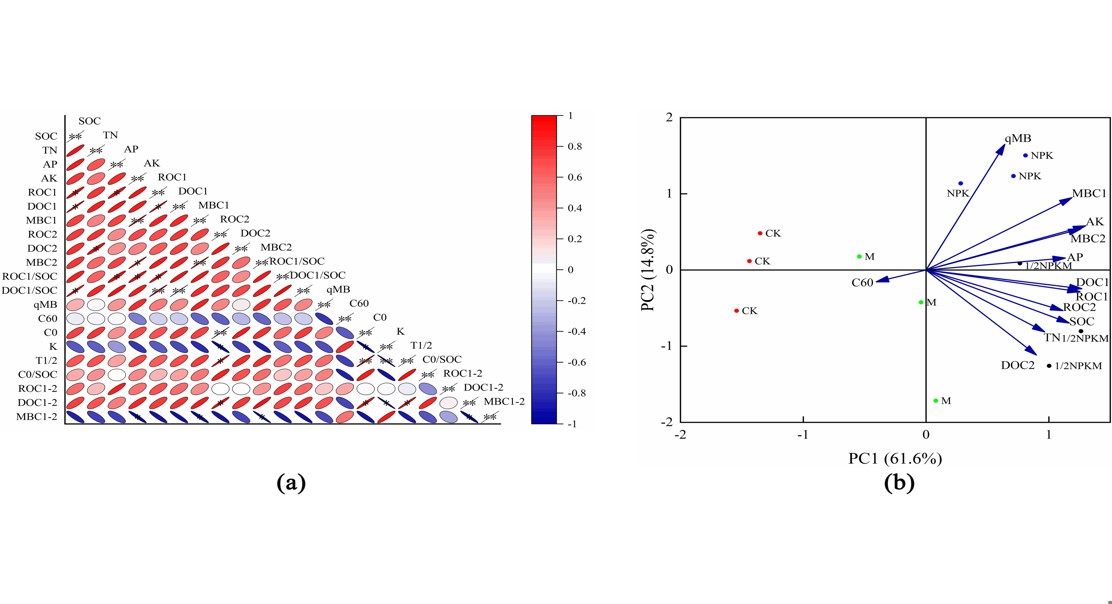 Organic vs Chemical Fertilizer: Effects on Soil Carbon Pools in Rice Fields