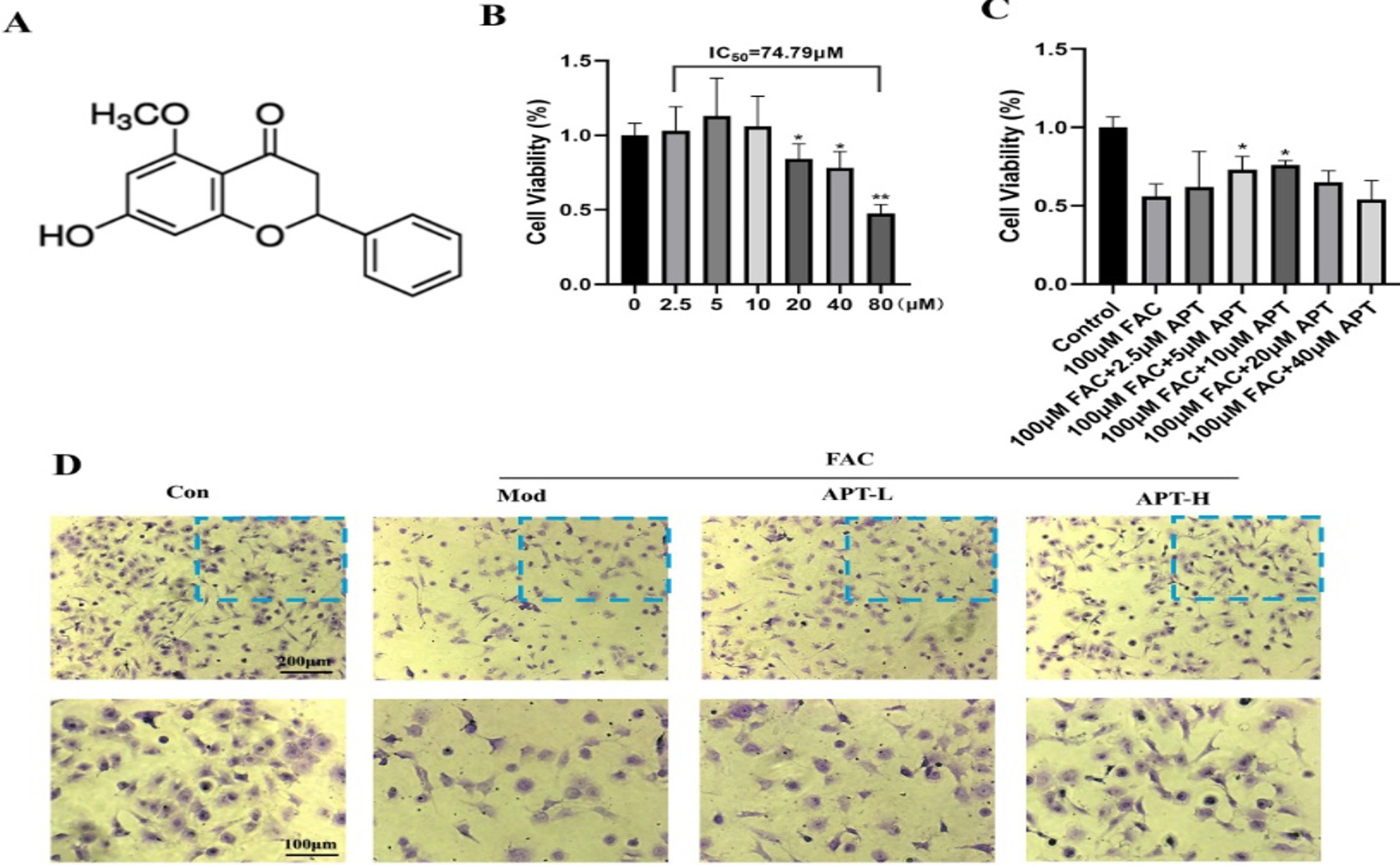 Alpinetin Protects Joints from Iron Overload via Cell Defense Pathway