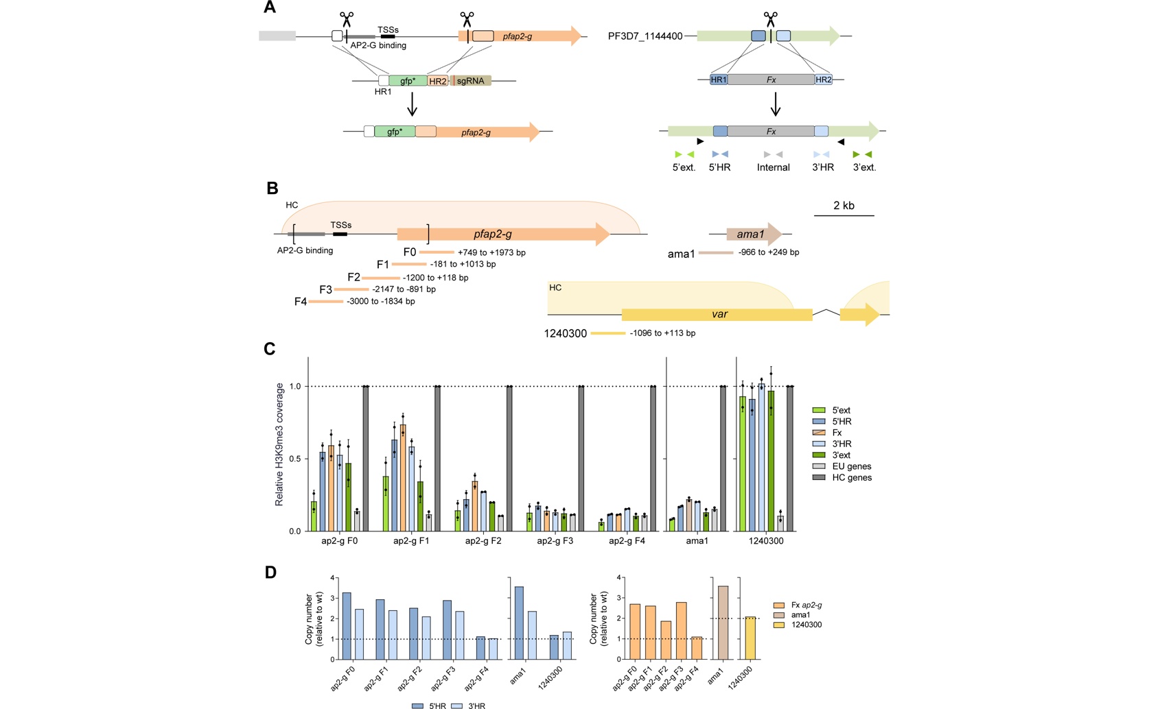 New Heterochromatin Formation and Maintenance in the Malaria Parasite