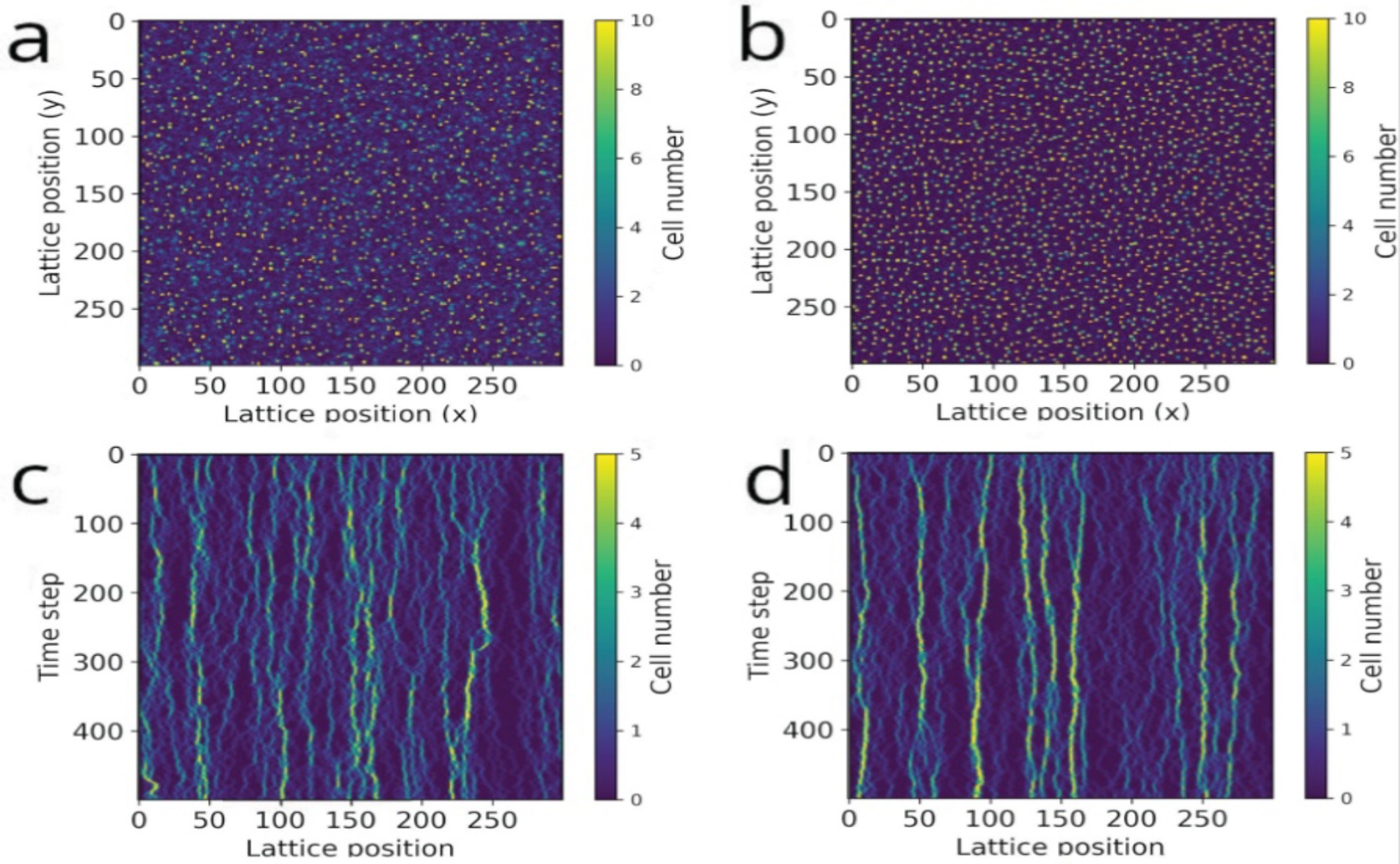 Sudden Shifts Cause On-Off Patterns And Gradual Changes In Cells