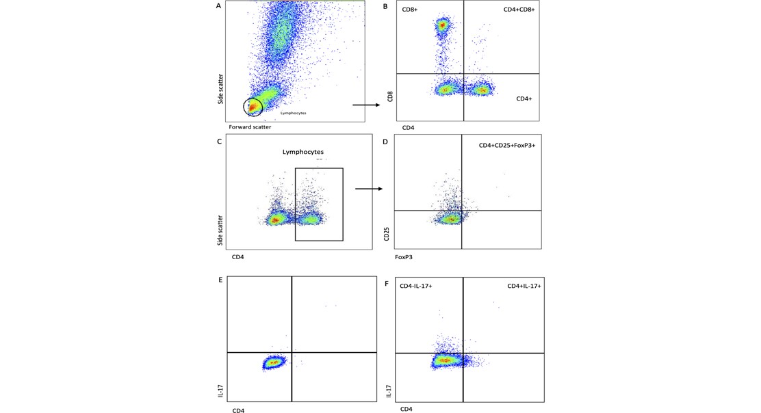 White Blood Cell Profiles in Autoimmune Blood Disorders