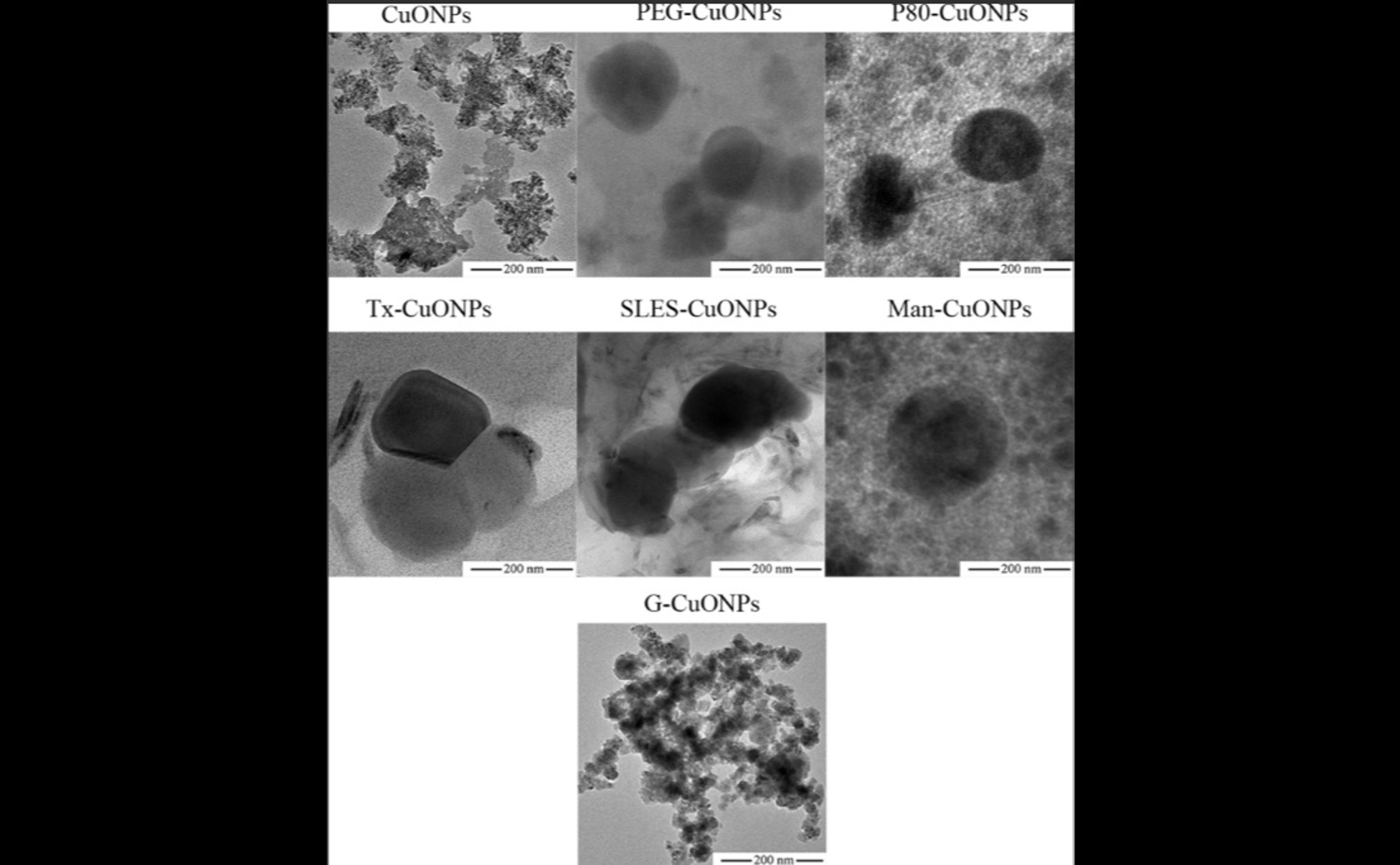 Sappanwood's Role in Making Cancer-Fighting Copper Particles