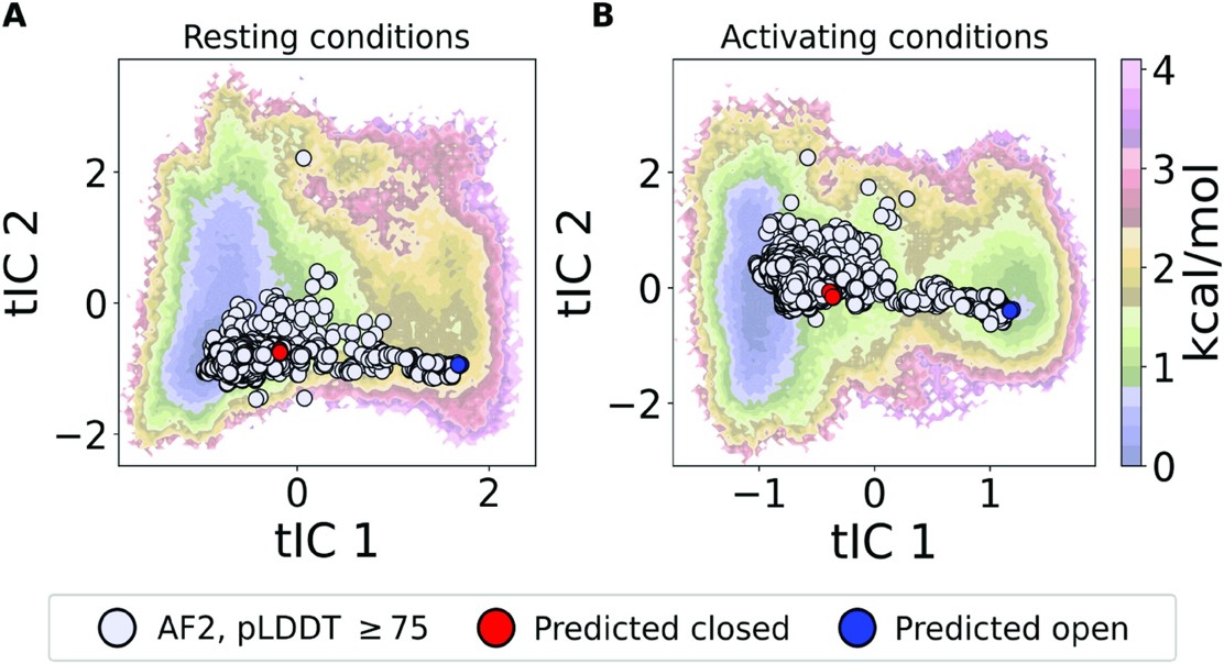 How Proteins Change Shape: AI And X-Ray Views