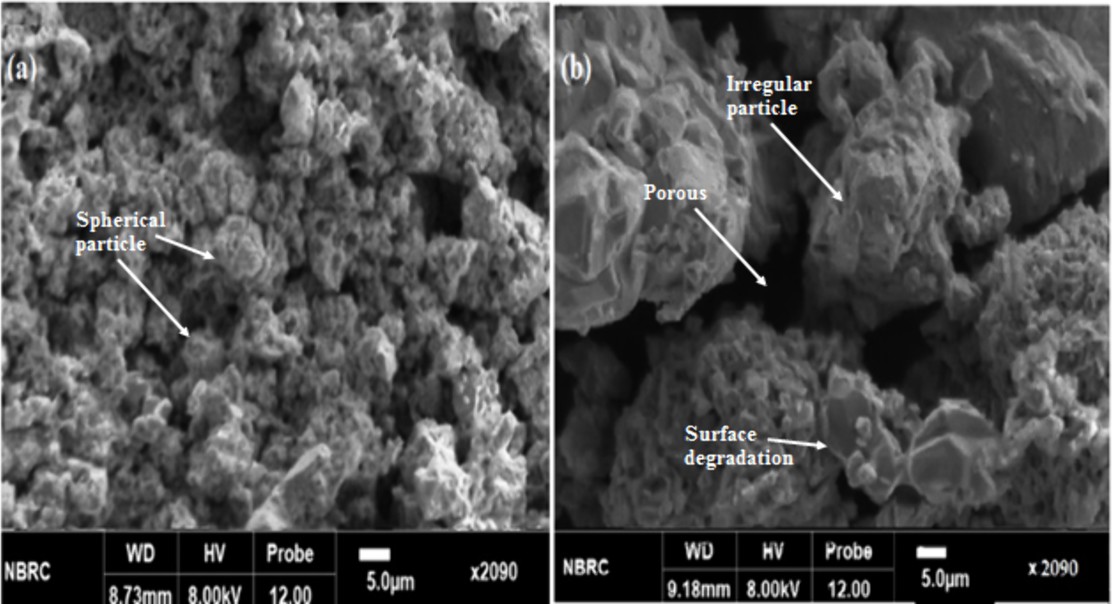 Coconut Waste For Recycling Metals From Old Batteries