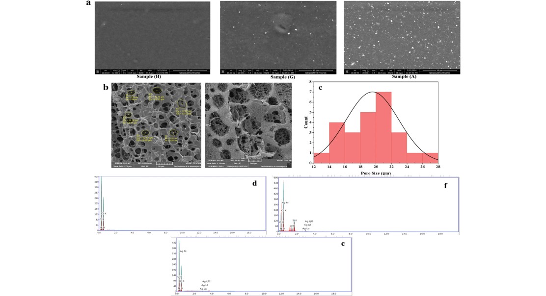 Biodegradable Gel With Eco-Friendly Silver For Healing Wounds
