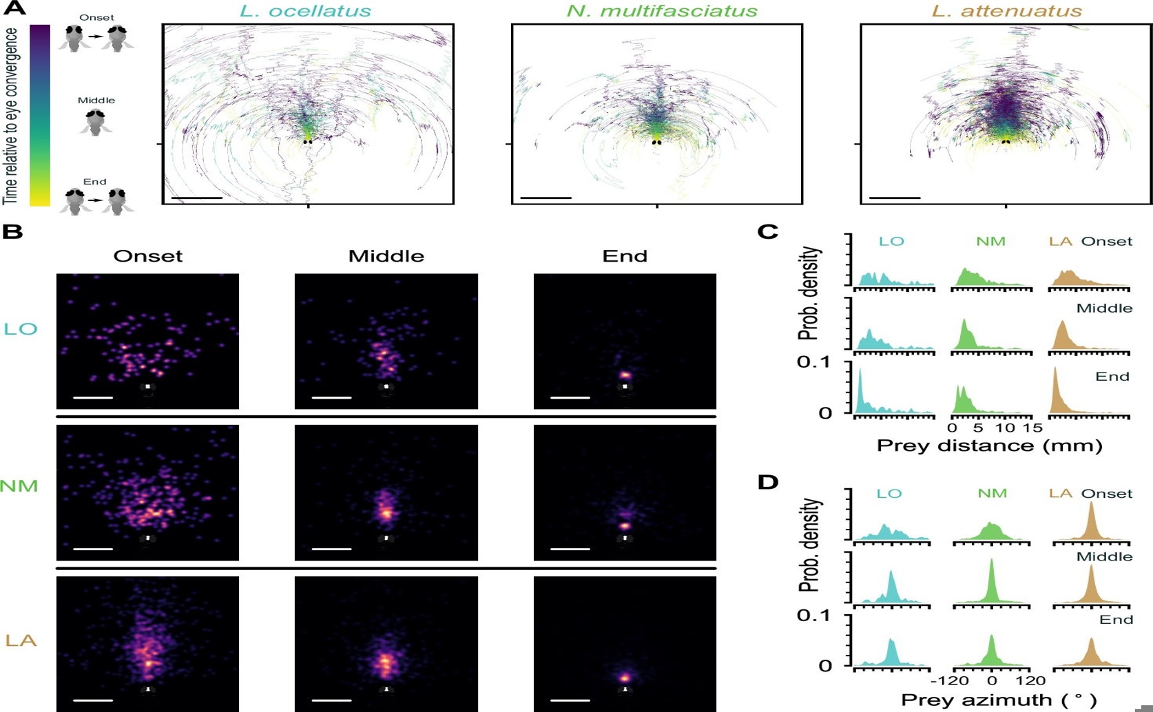Early Life's Varied Feeding Methods
