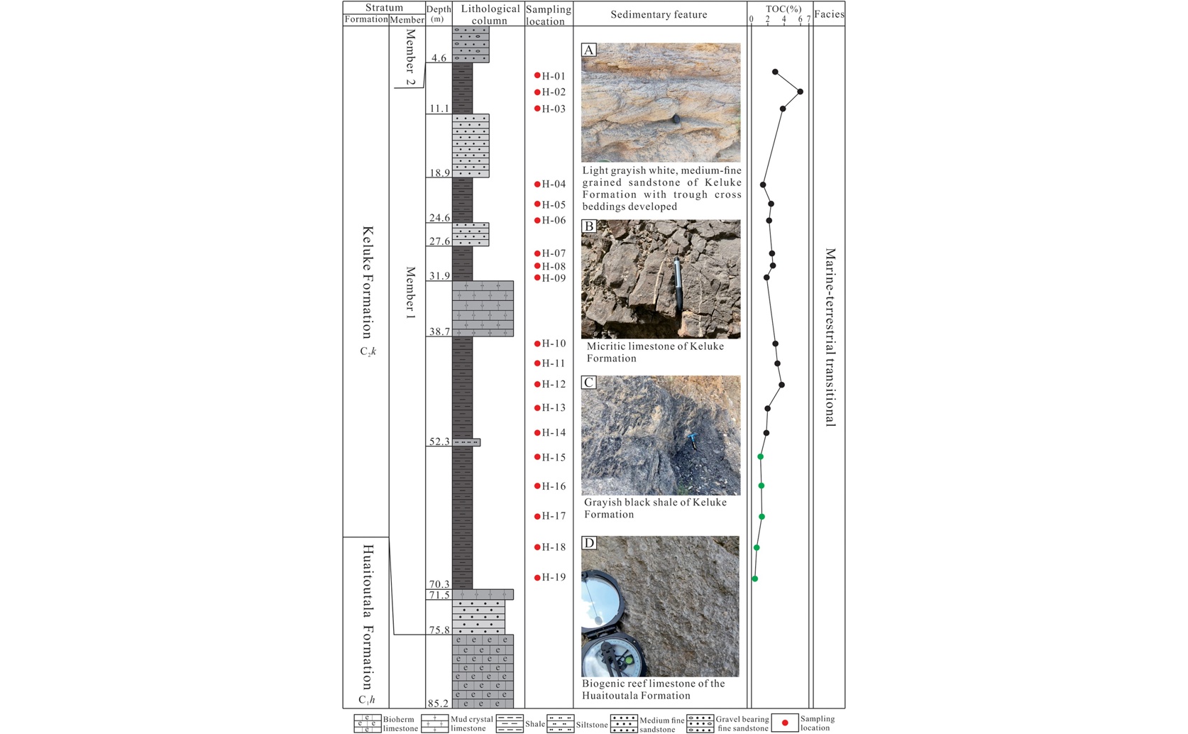 The Secrets of Organic Matter in Ancient Coastal Shale